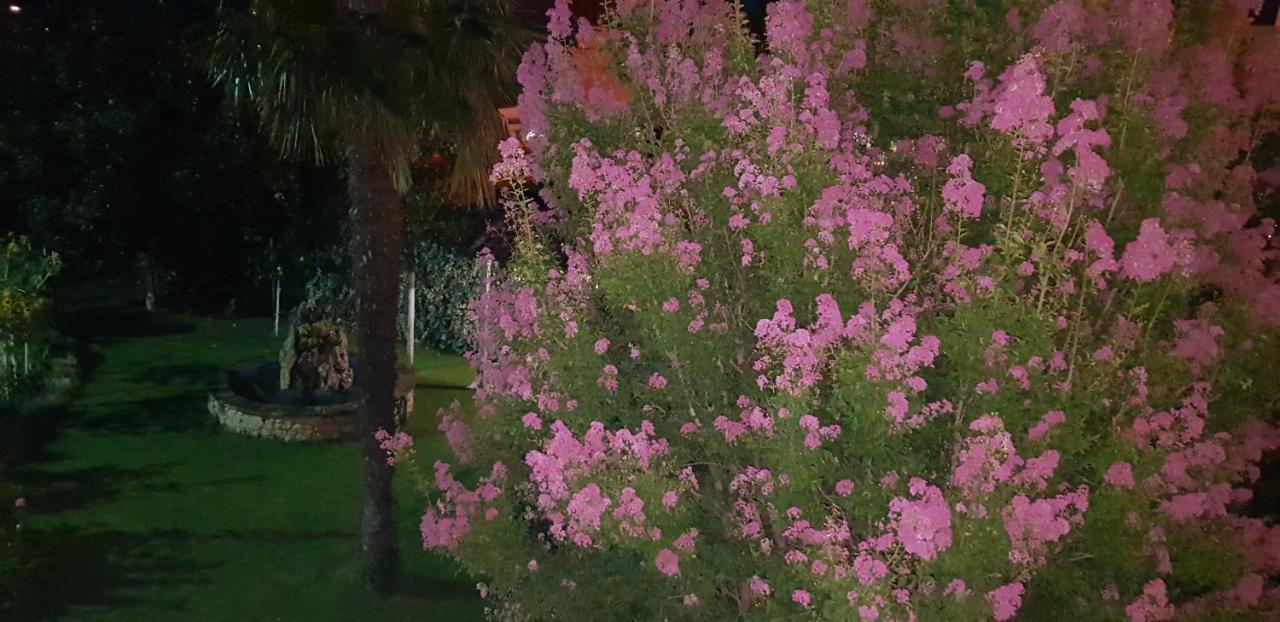 Rooms Rafomarija Međugorje Dış mekan fotoğraf
